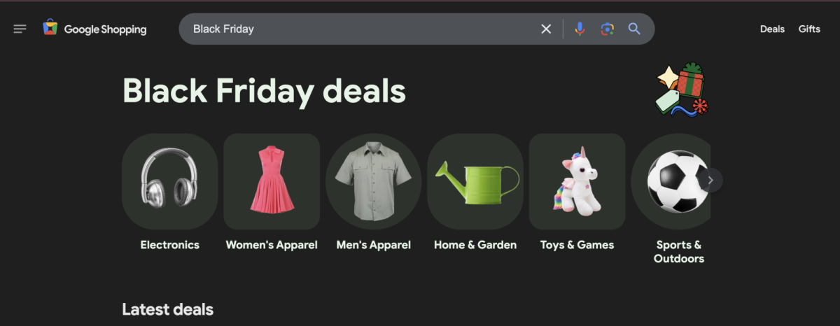 Screenshot of Google Shopping on Nov. 25, 2024.